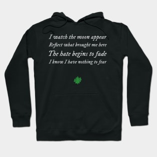 Rise above the hate Hoodie